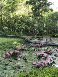 พาราไดซ์ เกาะยาว ที่พักบนเกาะติดทะเล, พังงา