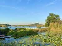 พายเรือคายัค ชมป่าเสม็ดโบราณ ที่สวนพฤกษศาสตร์ระยอง