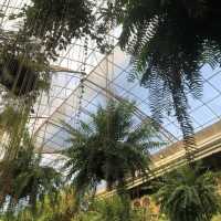 Retro Vibes at Fernwood Gardens Quezon City