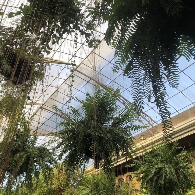 Retro Vibes at Fernwood Gardens Quezon City