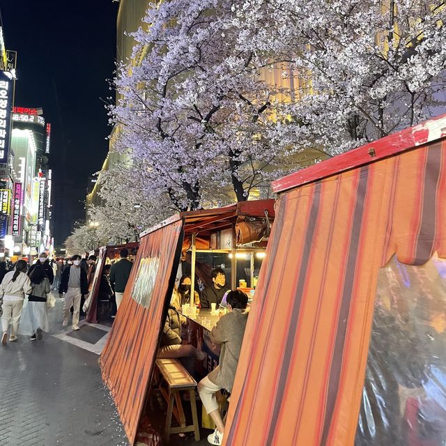 경남 꽃놀이 명소 모음🌸
