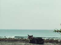 Beautiful Sea in Liuqiu, Taiwan 