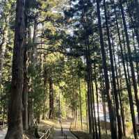 【岩手県/中尊寺,金色堂】世界遺産