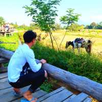 🌿ต๊ะต่อนยอน กาแฟไทลื้อ