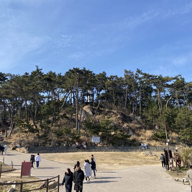 한국관광공사가 선정한 안심관광지 대왕암공원