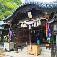 【香川】孔雀藤の岩田神社