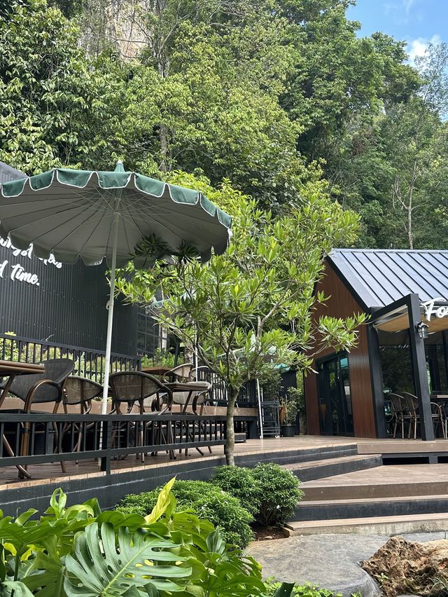 Into the forest  krabi🍃