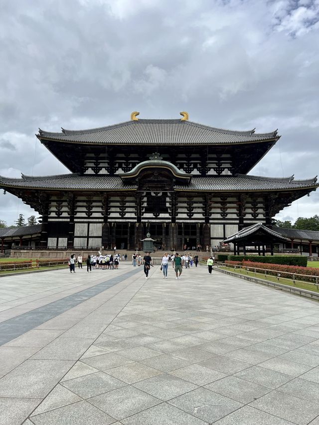 日本 奈良公園&東大寺