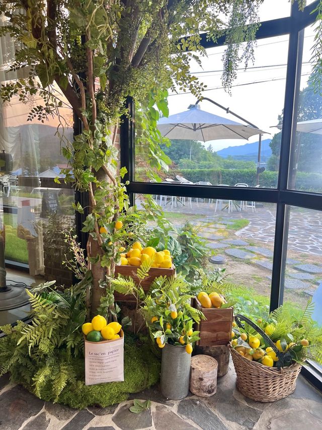 레몬향 가득느낌 포천 분위기맛집🍋
