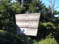 北海道　北海道観光　利尻島で絶対に外せない観光スポット　姫沼に行ってきた！