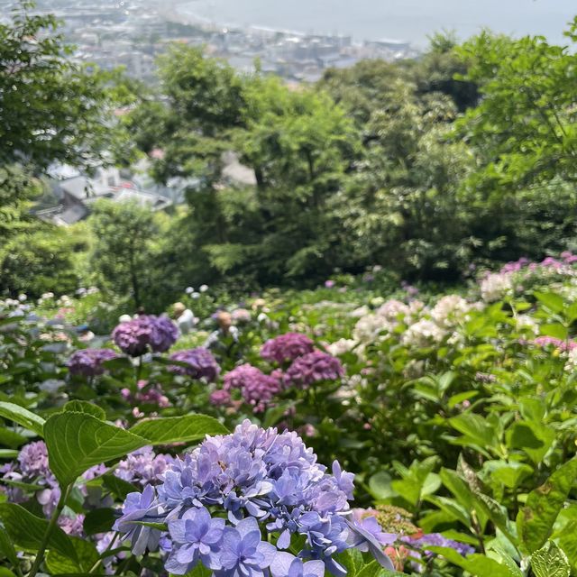 長谷寺