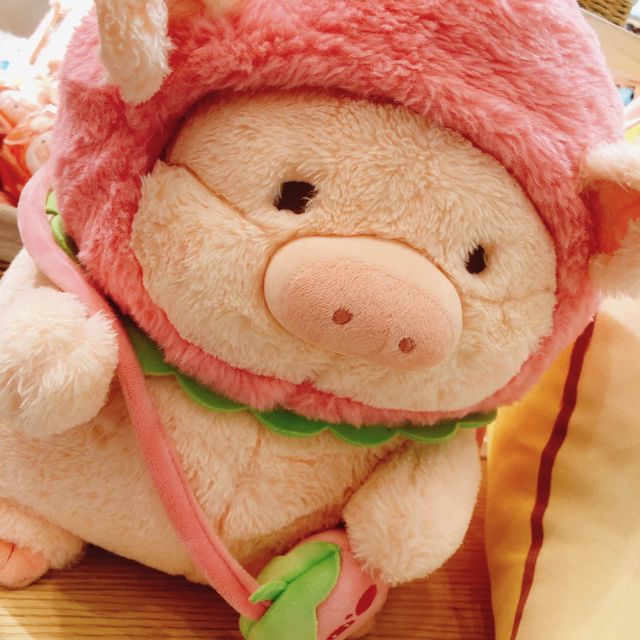 台北｜🐷🐽🐖可愛到爆的豬豬仔📍 罐頭豬LuLu豬朋引伴旅行社 (華山快閃店)