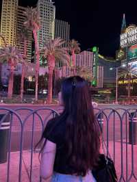 🇺🇸낮부터 밤까지 활기찬 카지노 천국 “Las Vegas”의 야경투어🎢