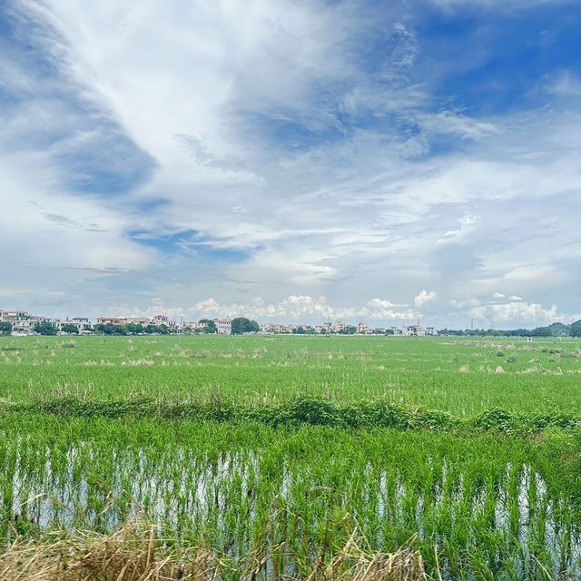 中山南朗自駕遊