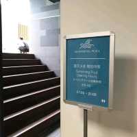 台北超方便💜有游泳池🏊‍♀️凱達大飯店