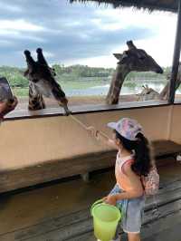 親子野生動物園之旅