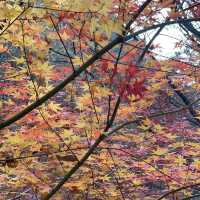 Hiking in Seoul during autumn 