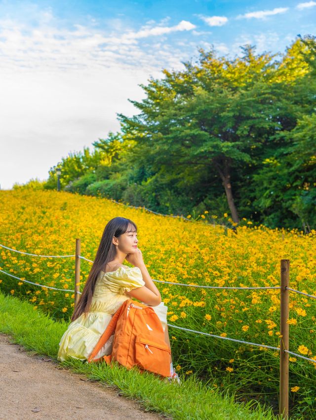 지금 서울에서 가장 먼저 달려가야 할 곳🌼 