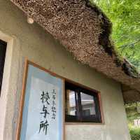 【京都旅】華厳寺で法話を聞きながら鈴虫の音色に癒されよう