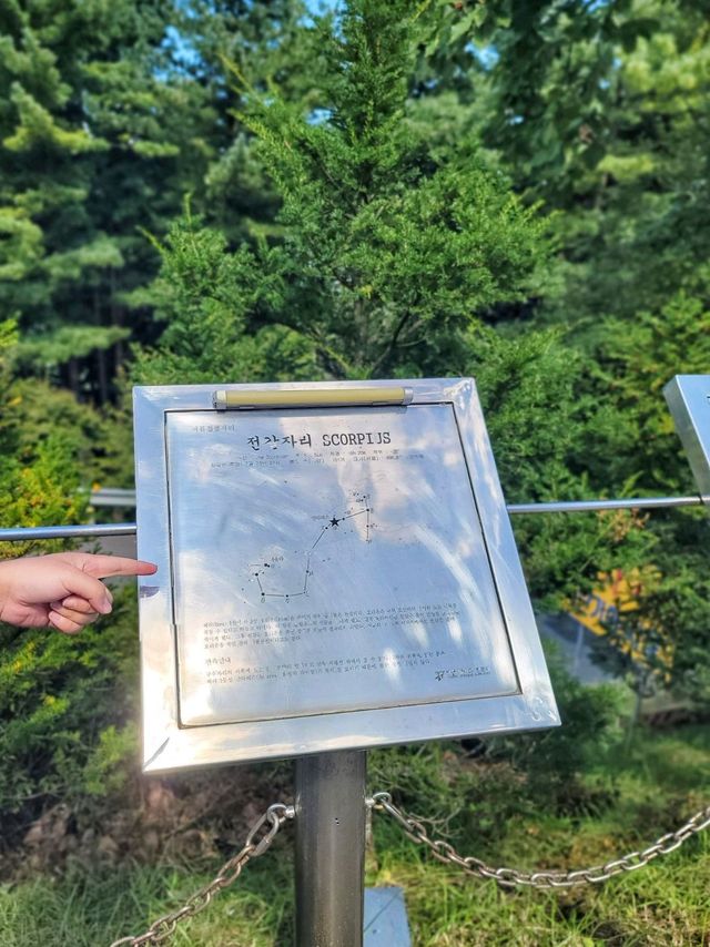 영월 가볼만한 곳! 낮에도 멋진 별마로천문대⭐️✨️