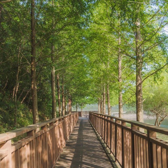 이국적인 부산 피크닉 스팟 용소 웰빙공원 