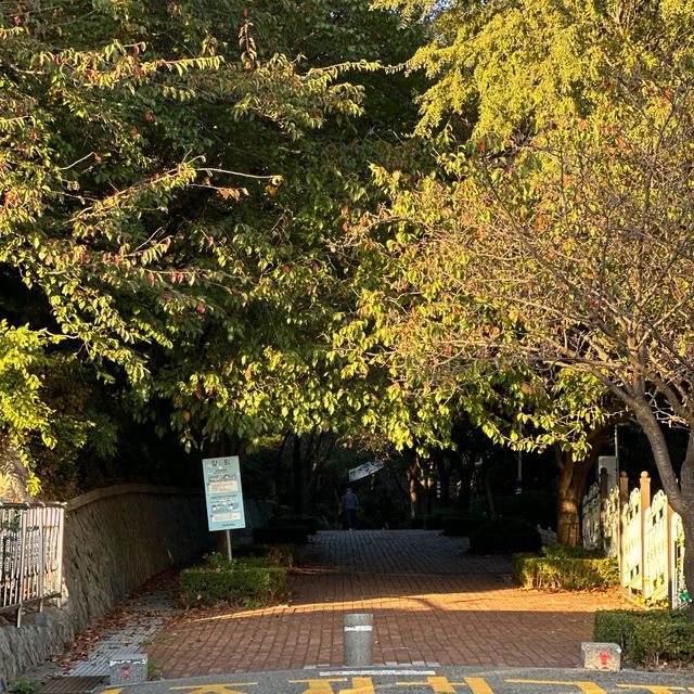 인천바다를 한 눈에 볼 수 있는 석양 명소 🌳 인천 자유공원 & 석정루