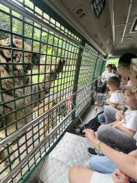 深圳親子遊 逛超大動物園