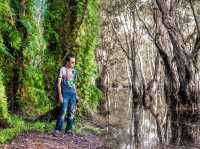 สวนพฤกษศาสตร์ระยอง