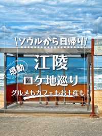 【韓国地方旅】江陵よくばりバスツアー‼️感動のロケ地巡り！グルメもカフェも！
