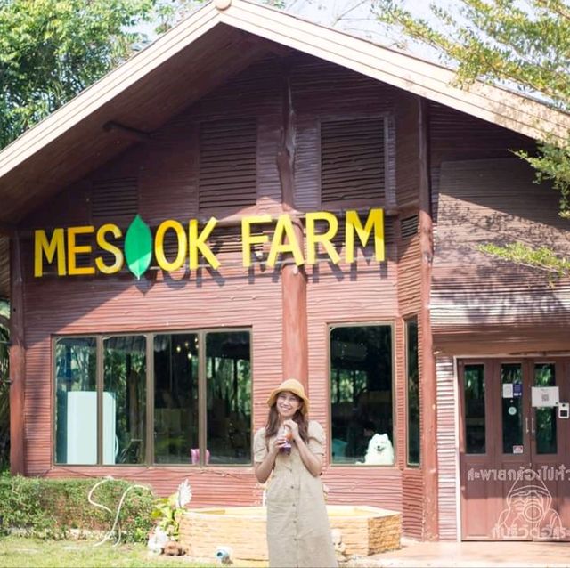 Meesook Farm...มีสุขฟาร์ม ระยอง