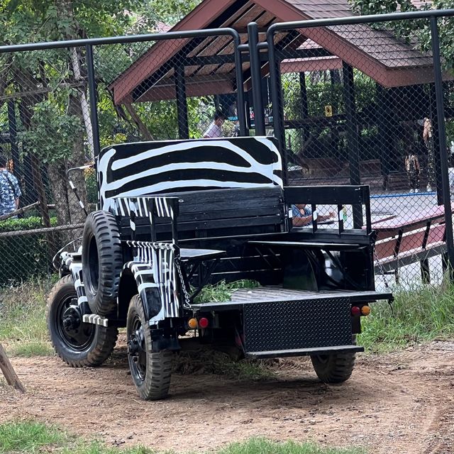 Sriayuthaya Lion Park - ศรีอยุธยา ไลอ้อน ปาร์ค 