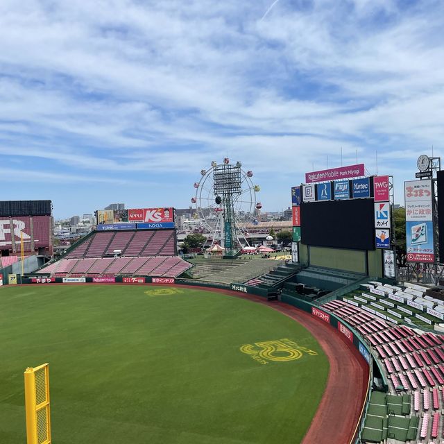 Experience Baseball in Japan 