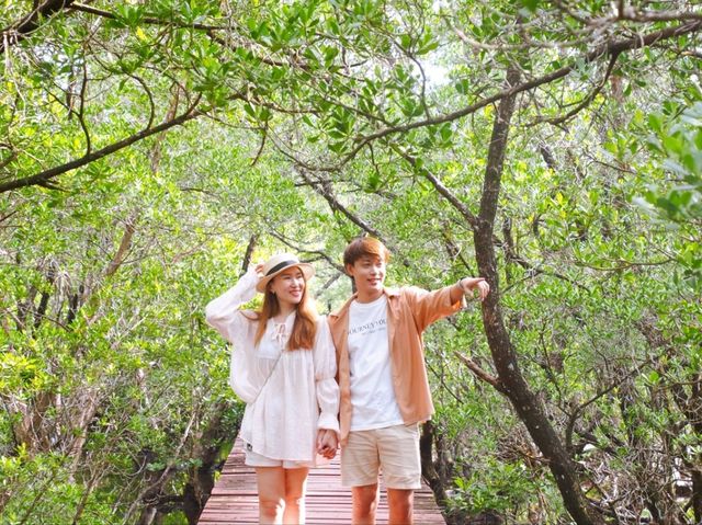 🌿 พาเดินชมเส้นทางธรรมชาติป่าโกงกาง