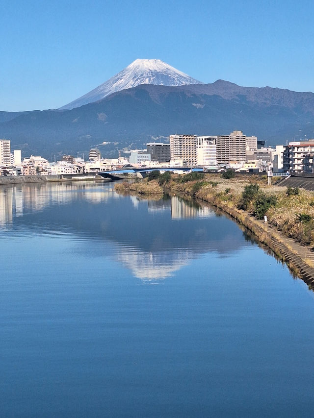 Numazu - a seafood paradise