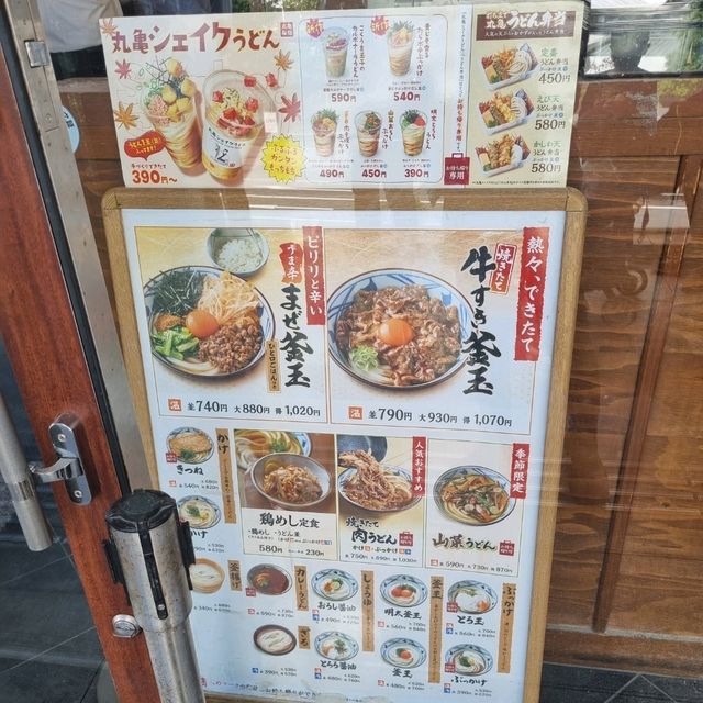 Perfect Udon At Marugame Seimen