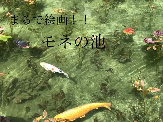 まるで絵画！！モネの池