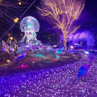 【神奈川県/江の島　関東三大イルミネーション”湘南の宝石💎”】