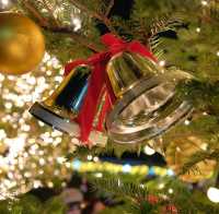 【大阪】てんしばのクリスマスイルミネーション