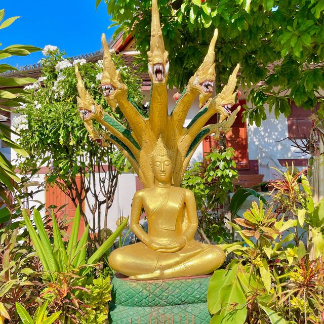 Luang Prabang's Golden Tranquility Encore