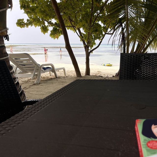 A Perfect Oasis and memorable experience 