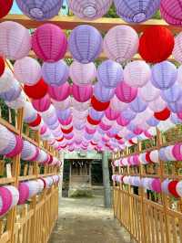 【福岡旅行】四季折々の花手水やお祭りごとを楽しめる素敵な神社