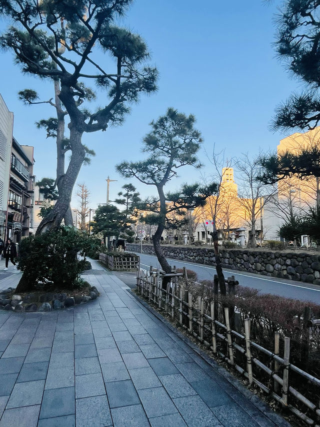 【神奈川県】鎌倉観光では外せない小町通り