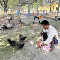 วีว่า ฟอเรสต้า ฟาร์ม จันทบุรี  ,,, ที่นี่เด็กชอบ