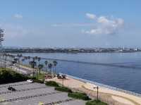 Sodegaura Seaside Park 