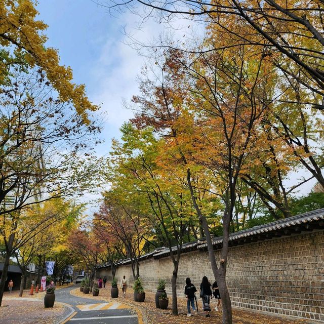 秋天必去德壽宮散步路，韓國最美小路名不虛傳！