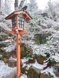 【東京JP】河口湖夢幻雪景 - 新倉山淺間公園