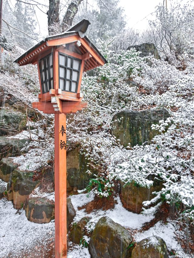 【東京JP】河口湖夢幻雪景 - 新倉山淺間公園