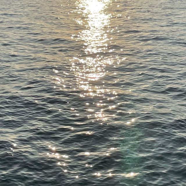 port melbourne beach 🏖️