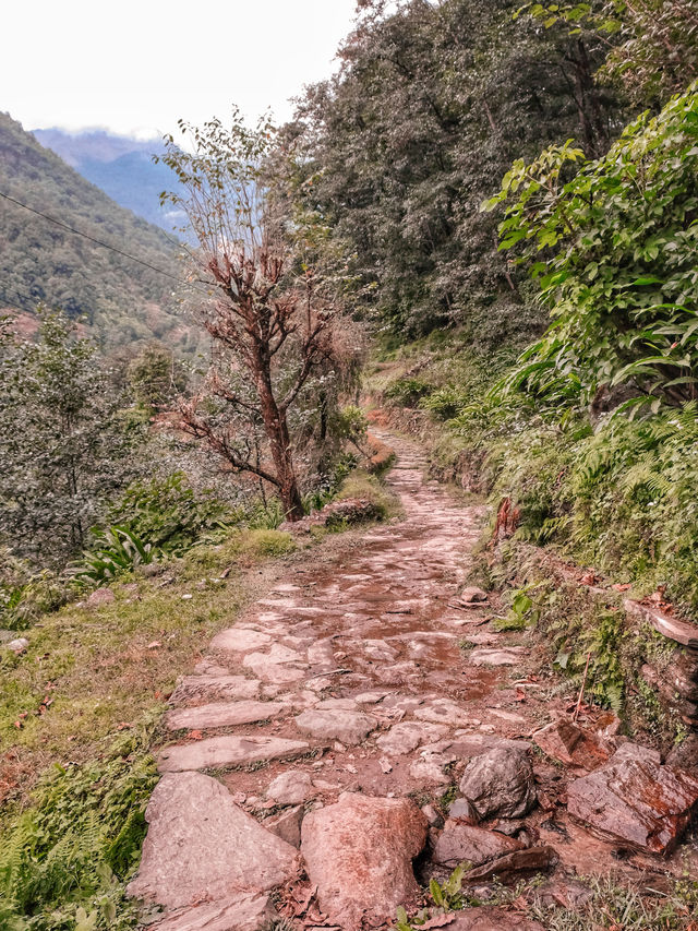 Poon Hill Trek!