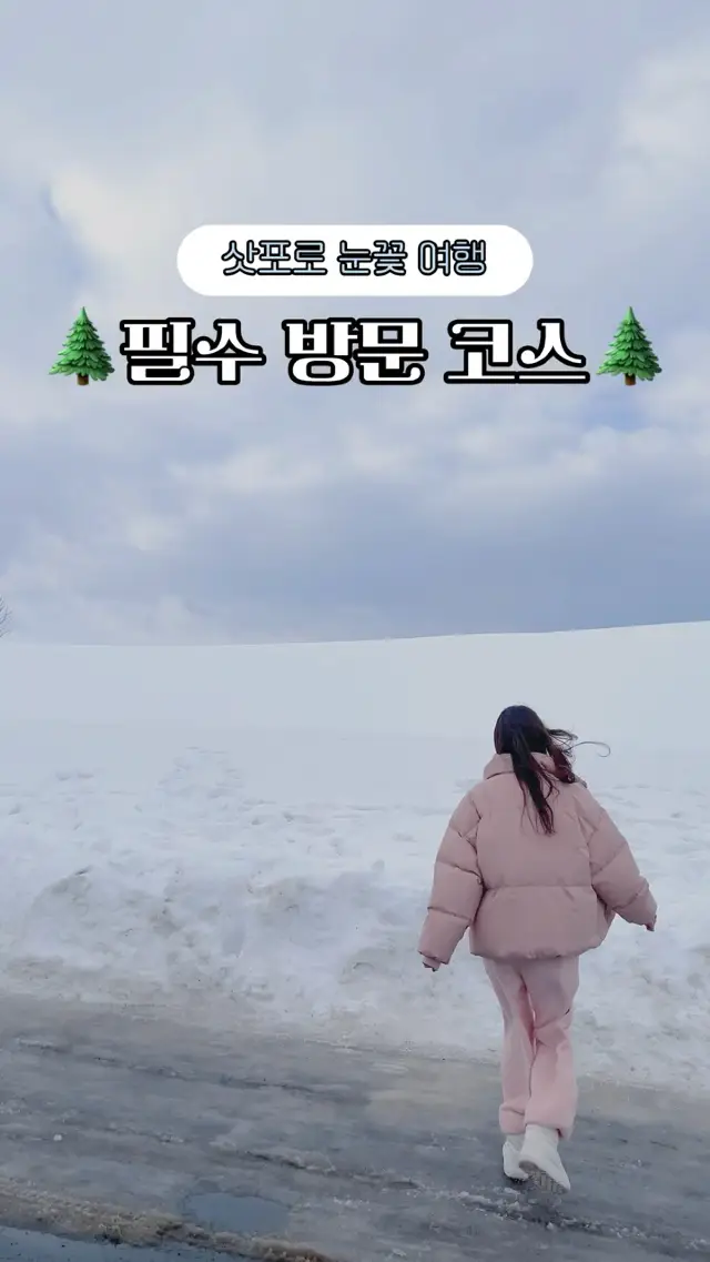 삿포로 비에이정에서 꼭 가야하는 관광 스팟🌲